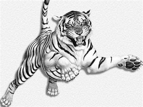 tigre - Page 6