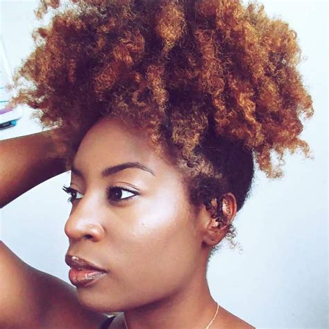 23 Twist Out Afro Hairstyles Hairstyle Catalog