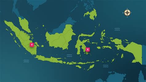 Perhatikan Gambar Di Bawah Ini Berdasark