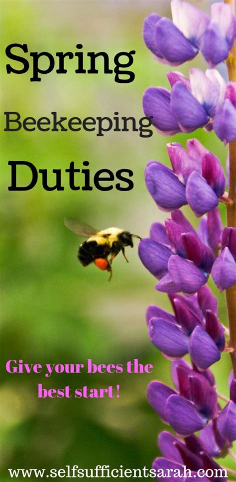 Beekeeping Duties In The Spring Self Sufficient Sarah Bee Keeping
