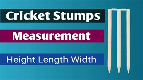 Cricket Stumps Measurements Cricket Stump Size Cricket Stumps