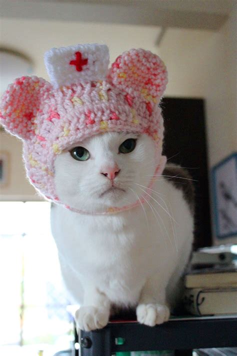 Cat Hat Pattern Nurse Cat Cat Dressed Up Crochet Cat Bed Cat