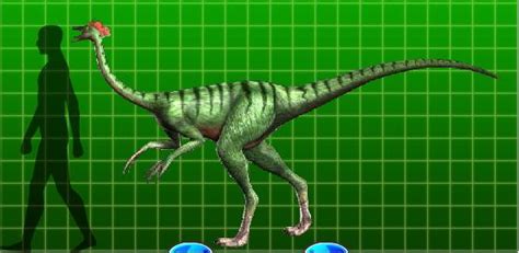 Dromiceiomimus Dinosaur King