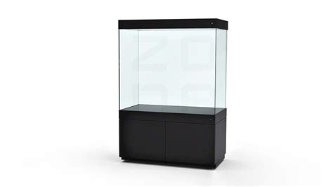 Collections Zone Display Cases
