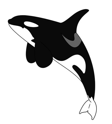 Easy ocean animals coloring pages. Free Pin Cliparts Whale, Download Free Pin Cliparts Whale ...