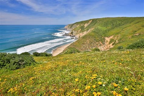 The Best Hiking Trails In The Bay Area