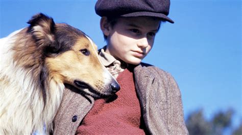 The Most Famous Dogs In Films Oversixty