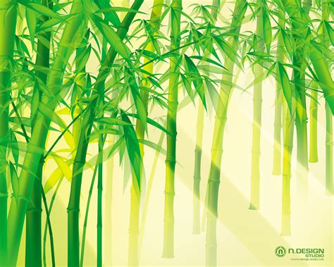 new wallpaper 2011 bamboo wallpaper