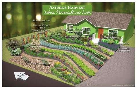 Converting Lawns To Gardens Natures Harvest Permaculture Urban Farm