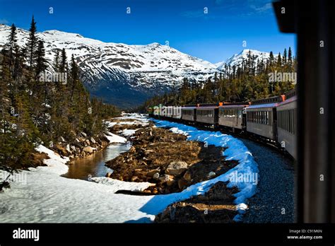 White Pass And Yukon Railroad On An Early Summer Excursion With Snow