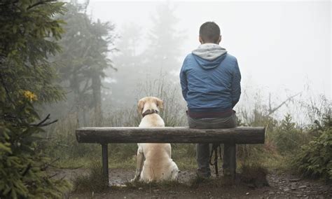 Practice Mindfulness With Animals Mindful Methods For Life