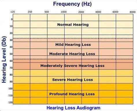Hearing Loss Information On Causes Symptoms And Treatment