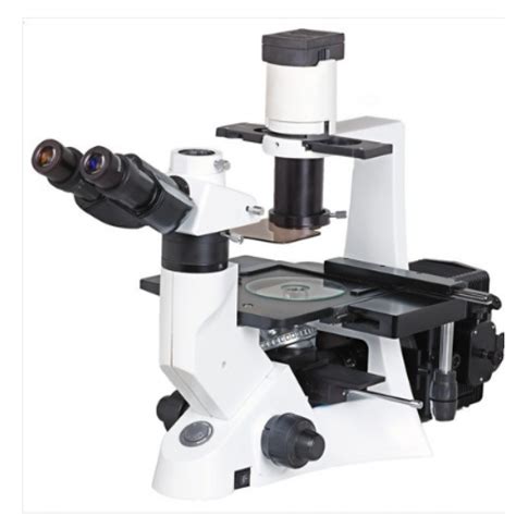 Buy Inverted Tissue Culture Microscope Get Price For Lab Equipment