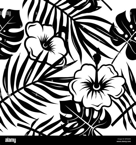 Hawaiian Hibiscus Black And White Stock Photos And Images Alamy
