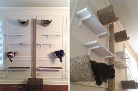 All cat shelves and house are made of solid pine wood, while the scratching post is made from fyi, these ideas work for smaller cats, too! Getting Vertical with Fundamentally Feline | Cat wall, Cat ...