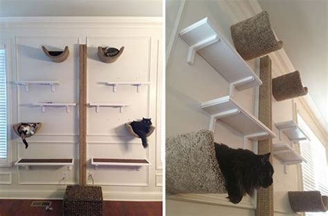 Cat house, cat cave, wall hanging cat bed, cat shelf, cat bed, climbing step, animal bed, animal platform cat gift cat shelves cat furniture. Getting Vertical with Fundamentally Feline | Cat wall, Cat ...