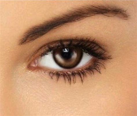 skin makeup natural makeup for brown eyes natural eye makeup tutorial