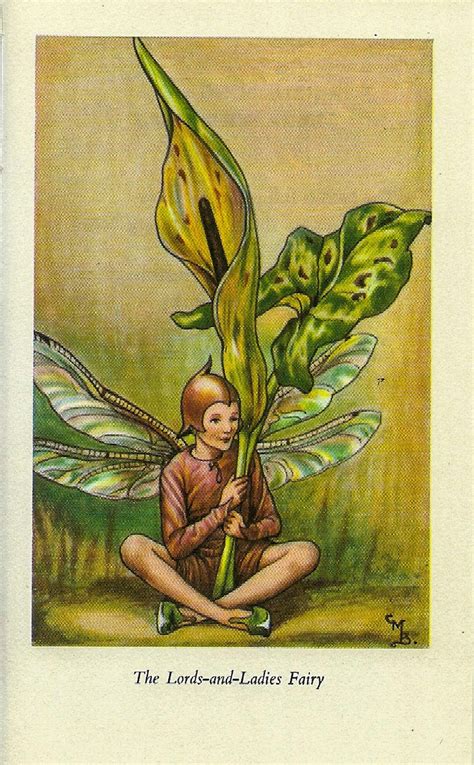 The Lords And Ladies Fairy Cicely Mary Barker Flower Fairies Etsy