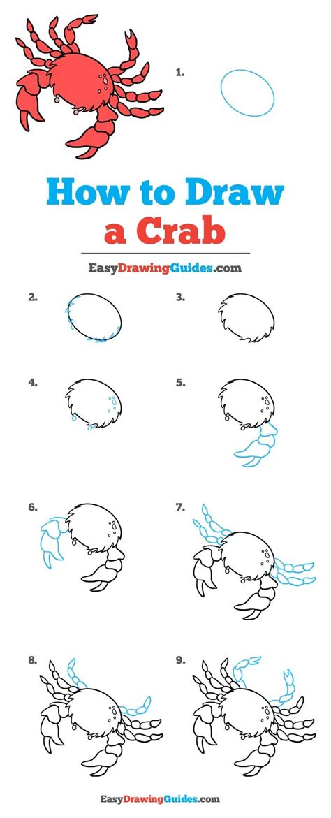 How To Draw A Blue Crab Step By Step Place A Small Circle At The End Of Each Oval Srksvlcdnvlhk