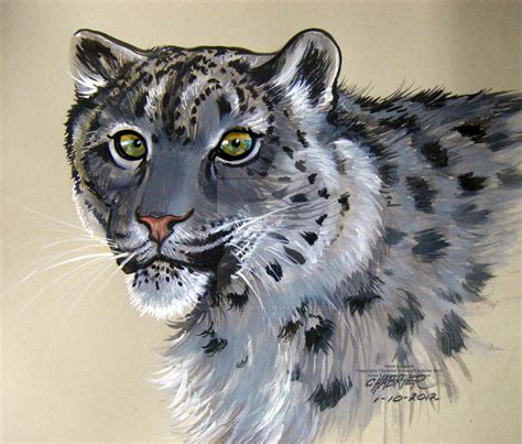 Snow Leopard By Houseofchabrier On Deviantart