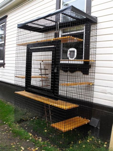 41 Safe And Smartly Organized Cat Enclosures Digsdigs