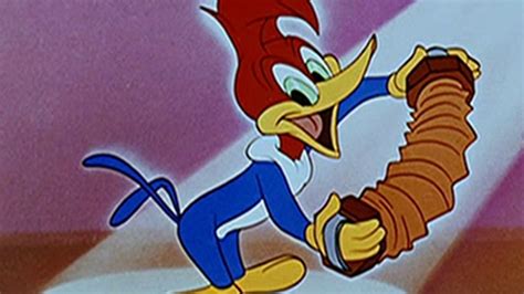 Watch The Woody Woodpecker And Friends Classic Cartoon Collection 1st