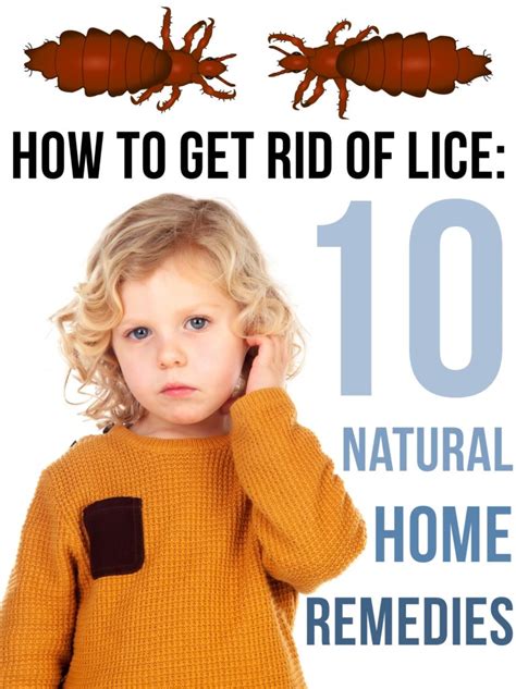 How To Get Rid Of Lice 10 Natural Home Remedies