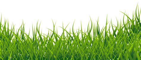 Grass Green Clipart 20 Free Cliparts Download Images On Clipground 2024