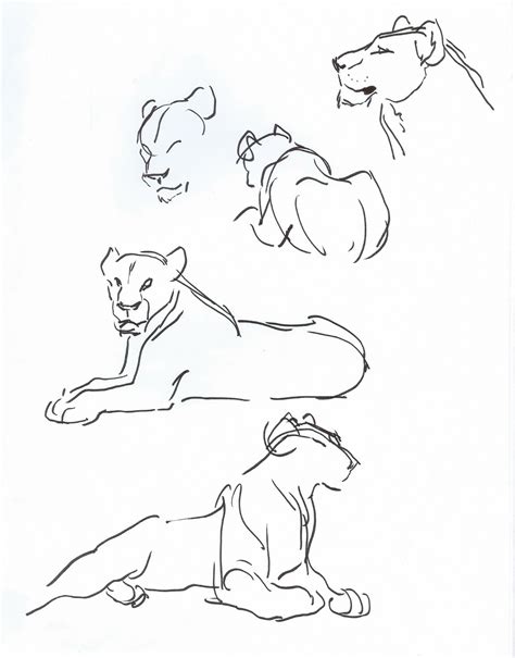How to draw origina… $17.95 $19.95. Lion And Lioness Drawing at GetDrawings | Free download