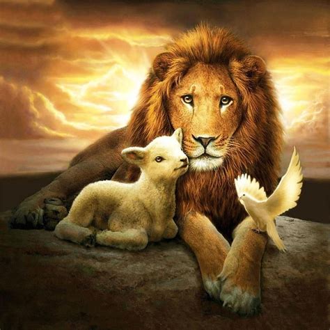 5d Diamond Painting Lion And Sheep Lion And Lamb Lion Of Judah