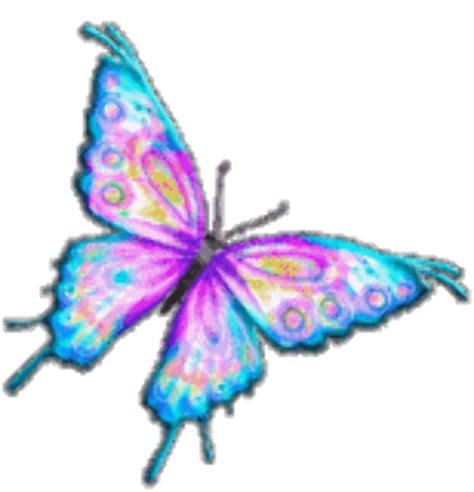Download High Quality Butterflies Clipart Animated Transparent Png