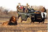 African Safari Parks Pictures