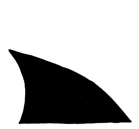 Free Free 345 Svg Shark Fin Outline SVG PNG EPS DXF File