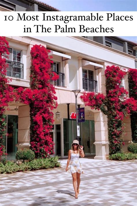10 Most Instagrammable Places In The Palm Beaches West Palm Beach