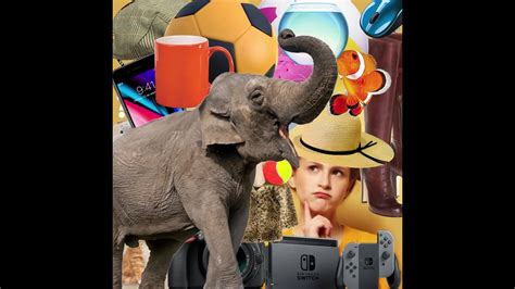 Encuentra todo lo que necesitas en nuestro periódico y enedatos.cl | By