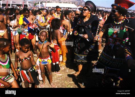 Zulu Reed Dance Ceremony Natal Stockfotos Und Bilder Kaufen Alamy