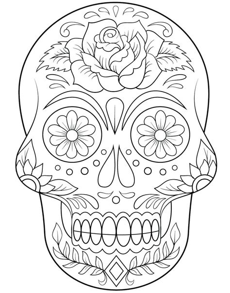 Skull Outline Drawing At Getdrawings Free Download