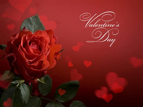 Find funny gifs, cute gifs, reaction gifs and more. Bilder von Valentinstag Herz Rot Rosen Blumen Großansicht