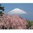 Mt Fuji Japan  Links Travel & Tours