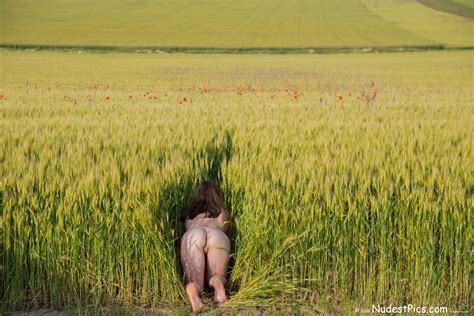 Naked Woman Crawling In The Field Of Wheat Free Full Hd Photo