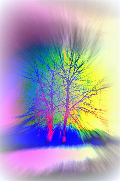 Naked Trees Can Also Be Colorful Photograph By Hilde Widerberg