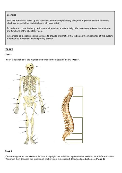 Principles Of Ap In Sport 1112 Ass 1 Skeletal System