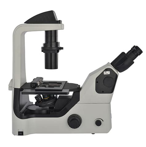 Bs 2094bf Led Fluorescent Inverted Biological Microscope