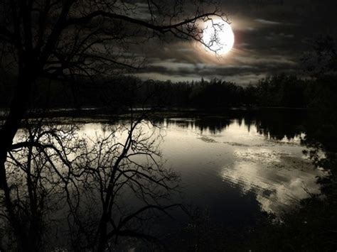 Lake Trees Moon Night Dark Nature Forest Darkness Mystique