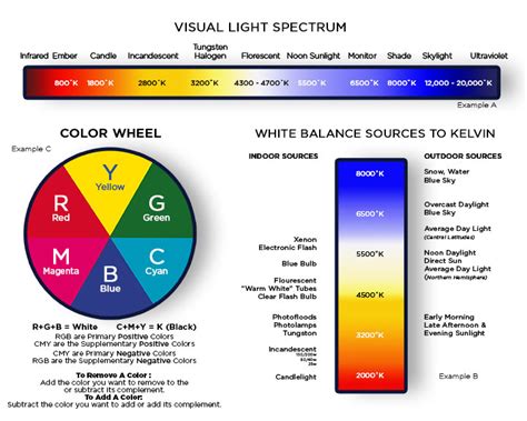 Color Theory 101 Basics To Understanding White Balance
