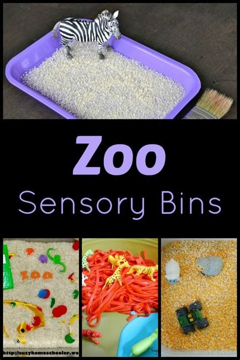 Zoo Theme Sensory Play | Zoo preschool, Zoo activities, Sensory bins