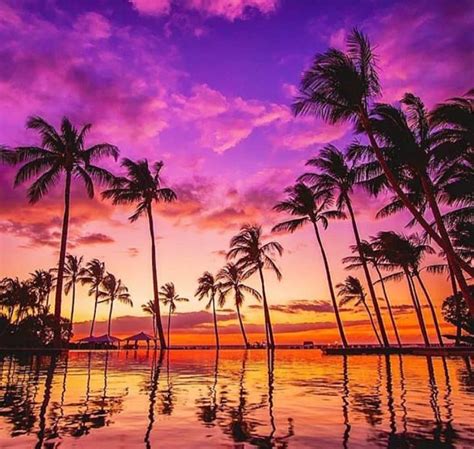 Best Beach Sunset In The World Photos Cantik
