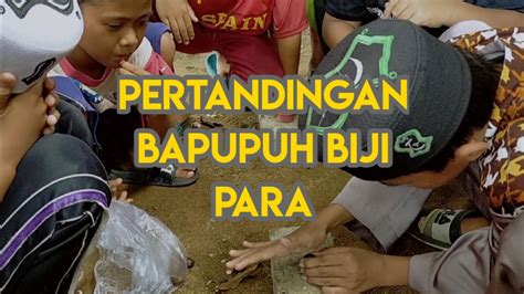 Pertandingan Biji Para Biji Getah Youtube