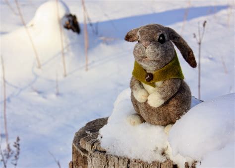 Lil Fish Studios A Snow Bunny