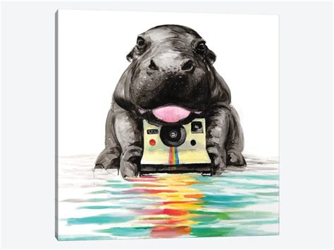 Happy hippo by george pali : Baby Hippo Canvas Wall Art by TIANA | iCanvas